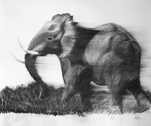 Artwork by Abé Opperman, Borrowed, 1.56 m h × 1.63 m w