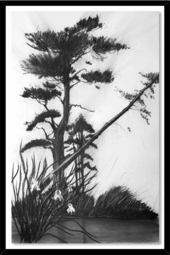 Artwork by Abé Opperman, Twilight, charcoal on cotton paper framed, 1.7 m h × 1.25 m w