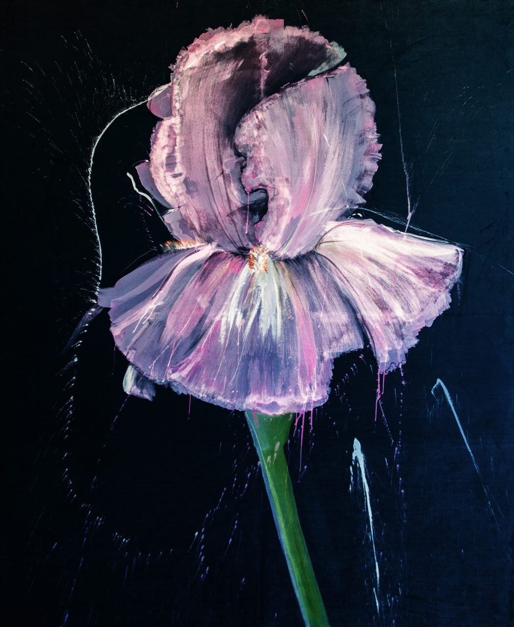 Artwork by Abé Opperman, Iris, mixed media on velvet, size 1, 8 m w × 2 m h
