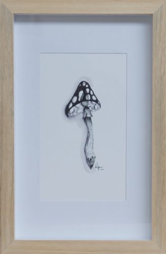 Artwork by Abé Opperman, Ink on paper, 26.5cm w X 40.5cm h