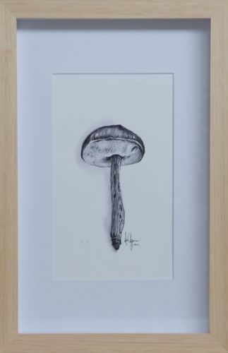 Artwork by Abé Opperman, Ink on paper, 26.5cm w X 40.5cm h