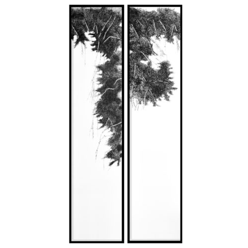 Artwork by Abé Opperman, Japanese needle pine, each one 2 m h × 0.5 m w ink on silk